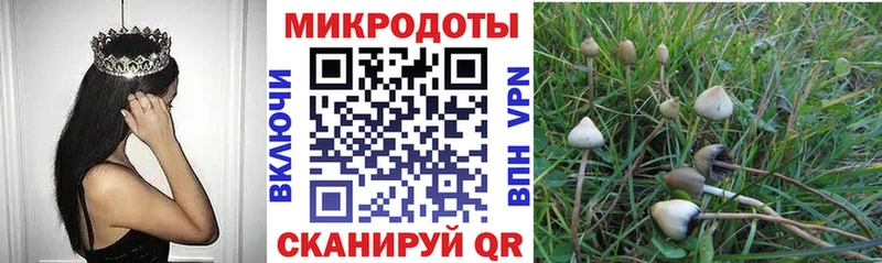 OMG ТОР  Губкинский  Псилоцибиновые грибы ЛСД 
