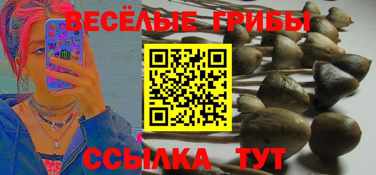 наркошоп  Вход с VPN  Губкинский  Галлюциногенные грибы мухоморы 