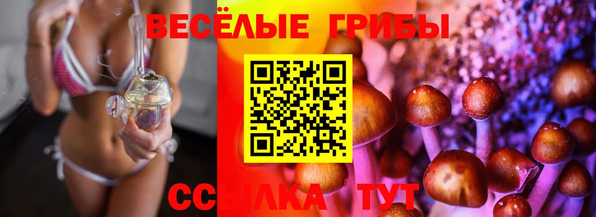 Псилоцибиновые грибы мухоморы  Губкинский 